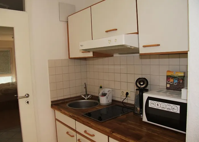 Zwinger دريسدن